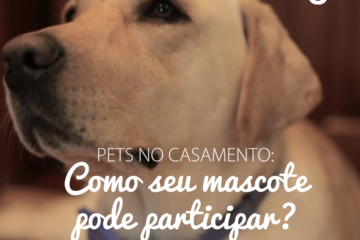 Pets no casamento