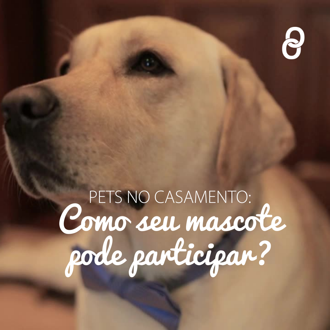 PETs no casamento: como o mascote pode participar?